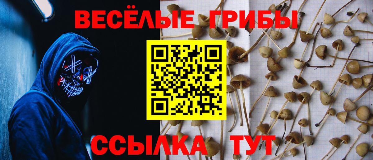 Псилоцибиновые грибы Magic Shrooms Карачаевск