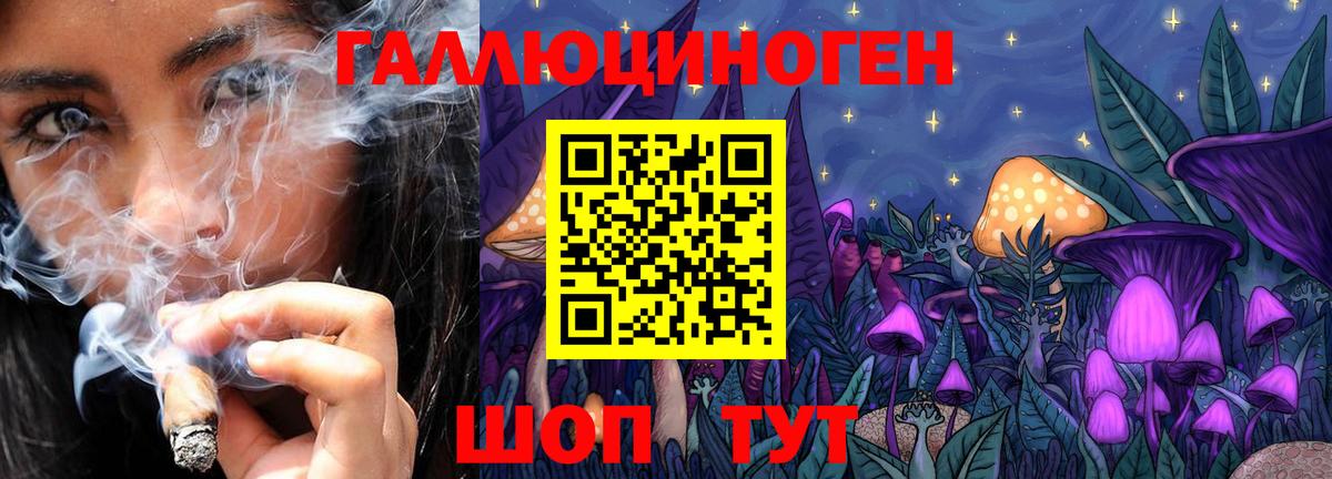 Псилоцибиновые грибы Psilocybe  Вход с VPN  Карачаевск 